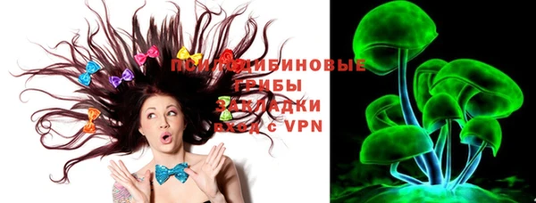 прущие грибы Дмитриев