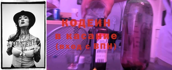 твердый Дмитров