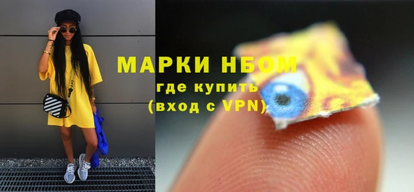 прущие грибы Дмитриев
