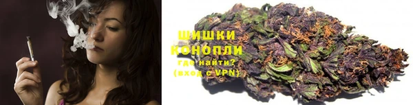 твердый Дмитров