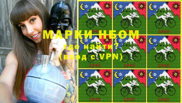 прущие грибы Дмитриев