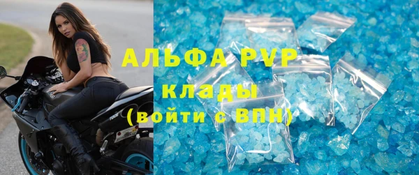 прущие грибы Дмитриев