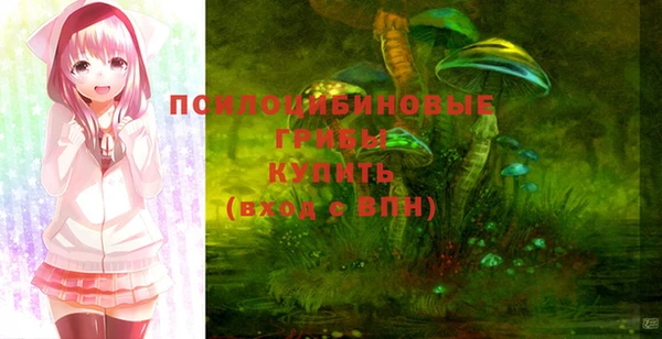 таблы Дмитровск
