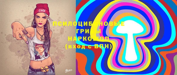 прущие грибы Дмитриев