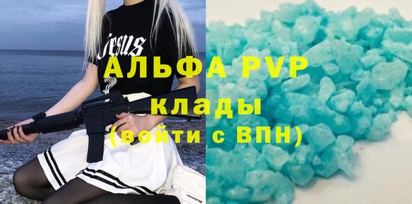 прущие грибы Дмитриев