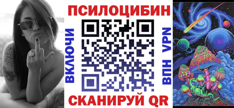 Купить где  Ульяновск  Псилоцибиновые грибы GOLDEN TEACHER 